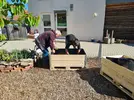 In Aktion Die Hochbeete werden mit Erde befüllt